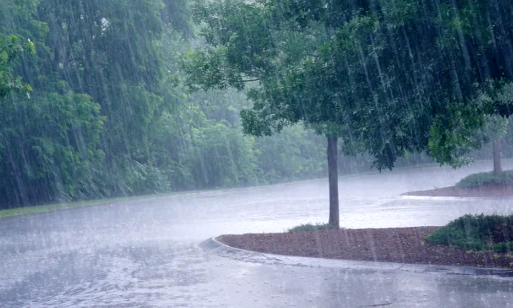 Weather forecast for nighttime 21st June and full day of 22nd June, 2025